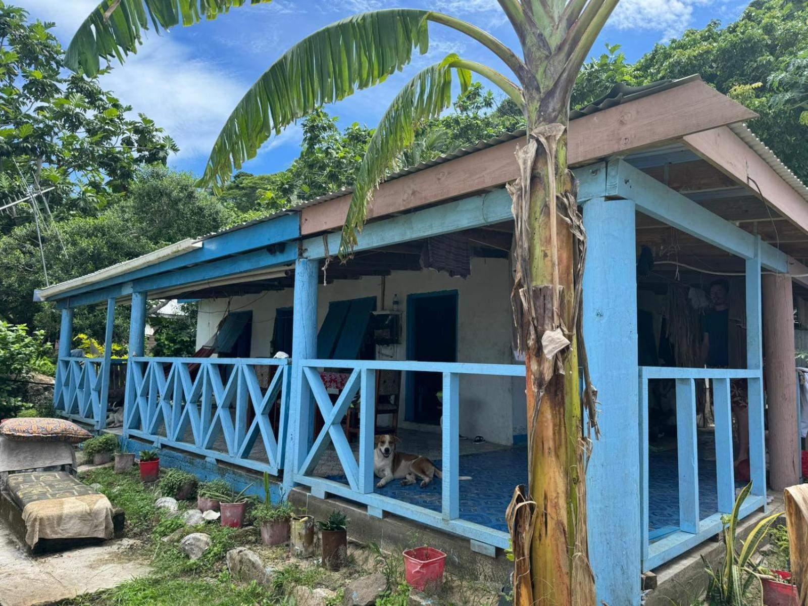 Lusis Homestay Lautoka Kültér fotó